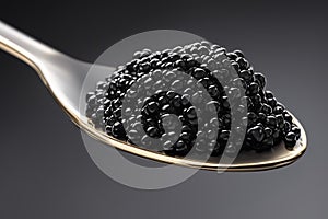 Black caviar. Sturgeon caviar. Black caviar in a metal spoon close-up. Sea delicacy on a dark background