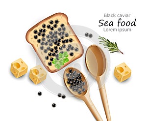 Black Caviar toast Vector realistic. Top view 3d detailed illustrations