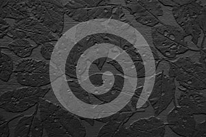 Black  ceament texture with leaf pattern white background wall