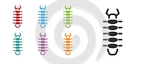 Black Centipede insect icon isolated on white background. Set icons colorful. Vector