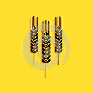 Black Cereals icon with rice, wheat, corn, oats, rye, barley icon isolated on yellow background. Ears of wheat bread