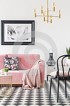 Black chair near pink couch in modern living room interior with poster and gold lamp. Real photo