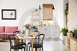 Black chairs at dining table in open space interior with poster above pink sofa and plants. Real photo with blurred background