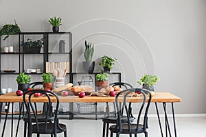 Black chairs at wooden table with apples and basil in grey dining room interior