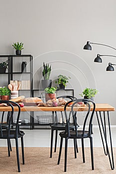 Black chairs at wooden table with food in grey dining room interior with lamp and plants. Real photo