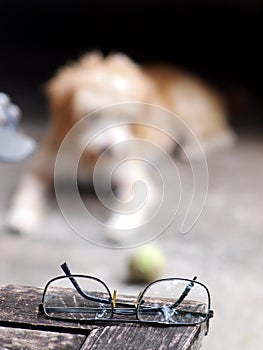 Black cheap plastic lens senior glasses laying on an old wood table