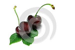 Black Cherries