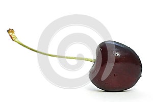 Black cherry on white