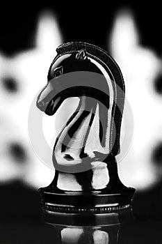 Black chess piece of knight with white pieces