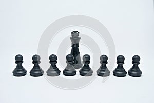 Black chess pieces all together arranged randomly on white background.