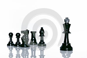 Black Chess on white background. Leader and teamwork concept for success
