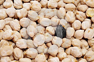 black chickpea