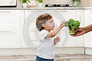The Black child eats broccoli. Organic Cabbage and food. healthy vegetables rich in vitamins