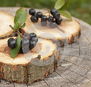 Black chokeberry Aronia melanocarpa wooden log board background