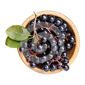 Black chokeberry berries  Aronia melanocarpa  in wooden bowl isolated on white