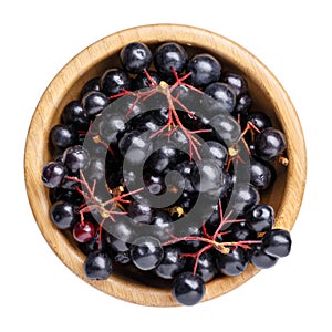 Black chokeberry berries  Aronia melanocarpa  in wooden bowl isolated on white
