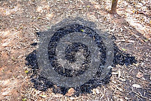 Black cinders on ground