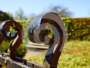 Black classical wrought iron garden gate