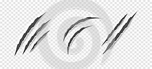 Black claw scratches - vector isolated. Claws scratches animal claw tracks cat or tiger bear or lion nails scratches