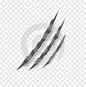 Black claw scratches - vector isolated. Claws scratches animal claw tracks cat or tiger bear or lion nails scratches