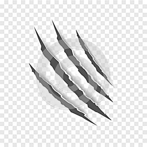 Black claw scratches - vector isolated. Claws scratches animal claw tracks cat or tiger bear or lion nails scratches