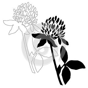 Black clover illustrations set isolated on white background