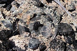 black coals and brown ashes in a fire pit