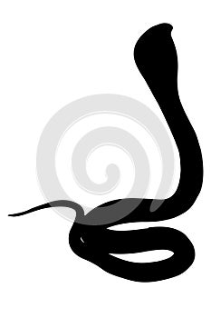 Black Cobra silhouette