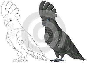 Black cockatoo with outline version