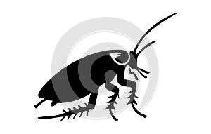 Black cockroach vector illustration. Silhouette of a pest insect isolated on white backdrop. Concept of pest control