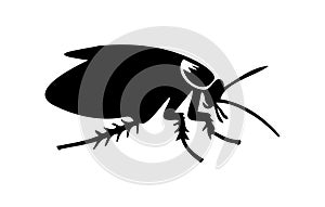 Black cockroach vector illustration. Silhouette of a pest insect isolated on white background. Concept of pest control