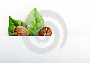 Black coffee beans, grain with leaf