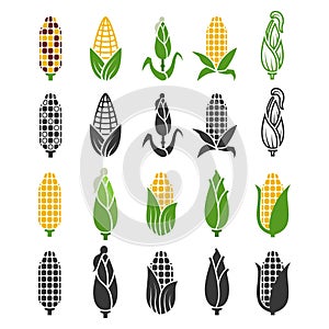 Black and color corn harvest icons isolated on white background