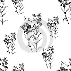Black colour flower pattern with white colour background all over design seamless pattern textile design