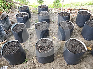 Black or composes sand in a poly bag for plant plantation photo