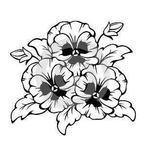 Black contour of pansy flowers. Vector illustration.