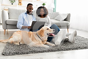 Black couple at home using laptop sitting with dog