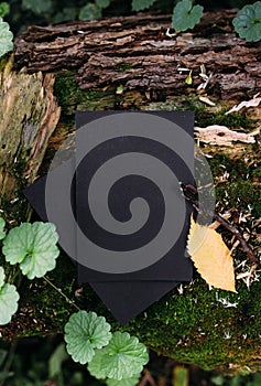 Black craft paper mockup template on the background of forest magic nature