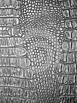 Black crocodile leather.