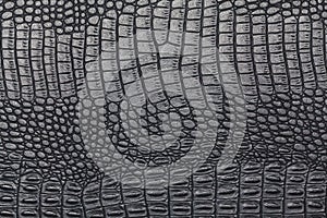 Black crocodile skin texture