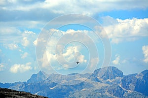 Black crow flying in the mountains