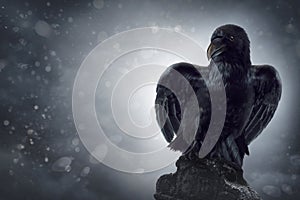 Black crow on a gravestone