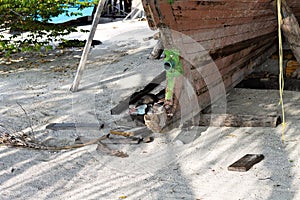 A black crow on the hull of a wooden boat Ari Atoll,Maldives