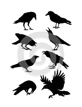 Black Crow Silhouettes