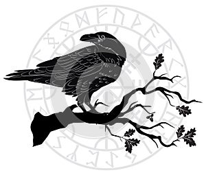 Black crow sitting on a branch of an oak tree, and Scandinavian runes