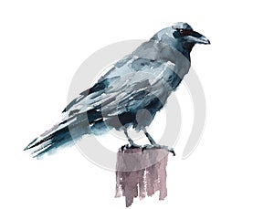 Black Crow Watercolor Raven Bird Standing on the stump Hand Painted Illustration isolated on white background