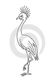 Black crowned crane bird. Editable outline stroke. Vector line illustration.