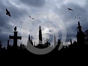 Crows flying and perched on old gothic style gravestone in silhouette with tall memorials and crosses against an overcast cloudy photo