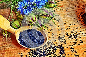 Black Cumin field , Nigella Sativa