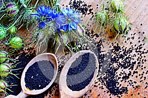 Black Cumin field , Nigella Sativa